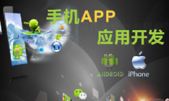 手機(jī)app開發(fā)11大步驟、技術(shù)人員、常用接口