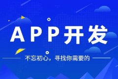 開發(fā)一個app多少錢？