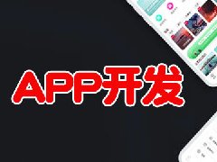 APP開(kāi)發(fā)費(fèi)用有哪些？APP開(kāi)發(fā)費(fèi)用一覽表