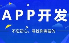 如何開發(fā)APP軟件，提高用戶體驗和吸引力？