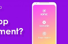 為什么要定制APP開發(fā)，APP開發(fā)定制的好處？