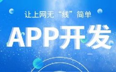 手機系統(tǒng)開發(fā)APP簡化指南